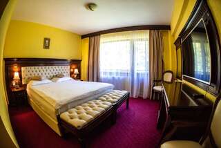 Отель Hotel Trei Brazi Бэи­ле-Олэ­неш­ти Двухместный номер с 1 кроватью или 2 отдельными кроватями-1
