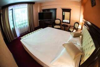 Отель Hotel Trei Brazi Бэи­ле-Олэ­неш­ти Двухместный номер с 1 кроватью или 2 отдельными кроватями-21