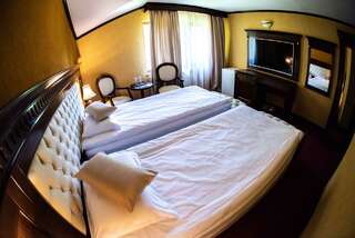 Отель Hotel Trei Brazi Бэи­ле-Олэ­неш­ти Двухместный номер с 1 кроватью или 2 отдельными кроватями-24