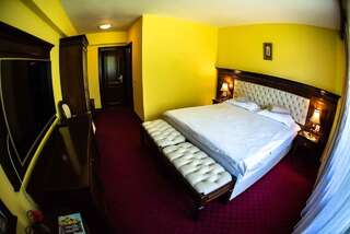 Отель Hotel Trei Brazi Бэи­ле-Олэ­неш­ти Двухместный номер с 1 кроватью или 2 отдельными кроватями-25