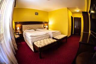 Отель Hotel Trei Brazi Бэи­ле-Олэ­неш­ти Двухместный номер с 1 кроватью или 2 отдельными кроватями-29