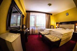 Отель Hotel Trei Brazi Бэи­ле-Олэ­неш­ти Двухместный номер с 1 кроватью или 2 отдельными кроватями-31