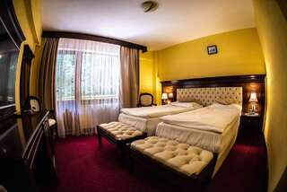 Отель Hotel Trei Brazi Бэи­ле-Олэ­неш­ти Двухместный номер с 1 кроватью или 2 отдельными кроватями-32