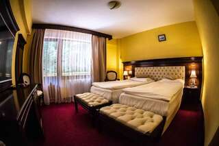 Отель Hotel Trei Brazi Бэи­ле-Олэ­неш­ти Двухместный номер с 1 кроватью или 2 отдельными кроватями-60